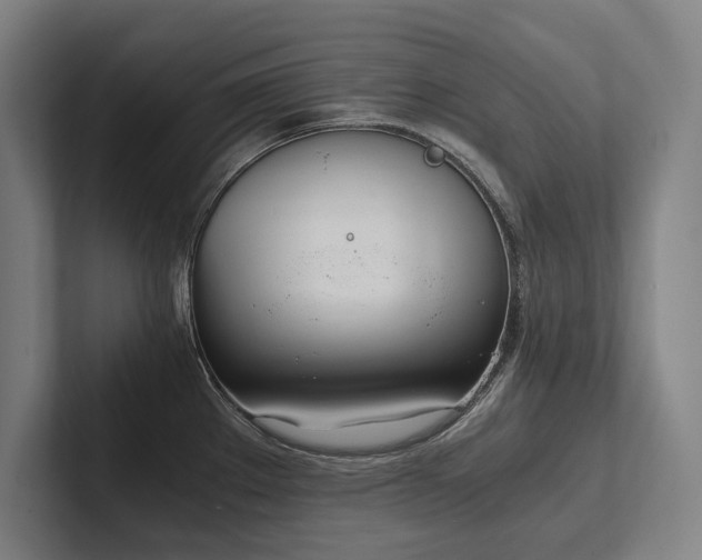 X0000102761289200808181101