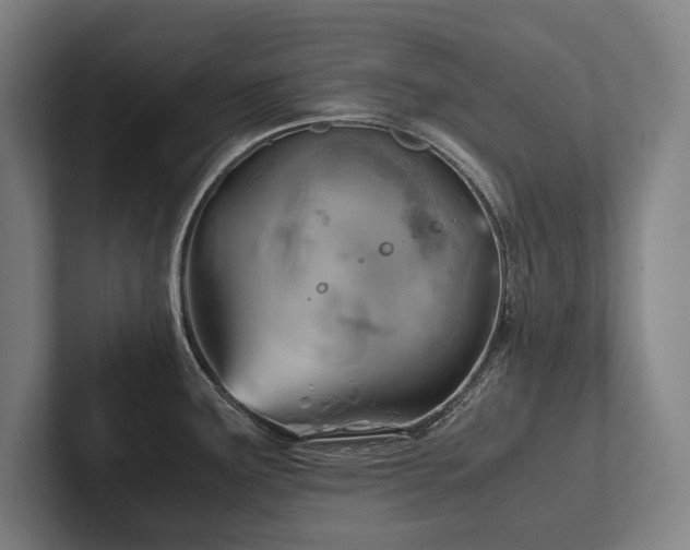 X0000102761291200808181101