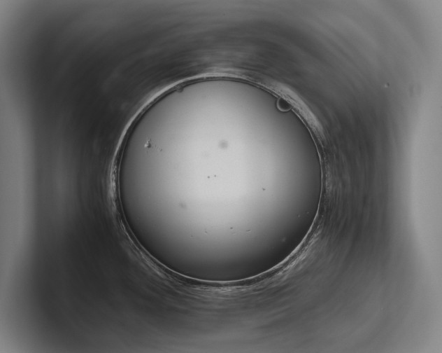 X0000102761292200808181101