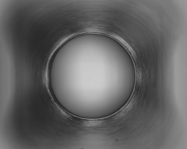 X0000102761294200808181101