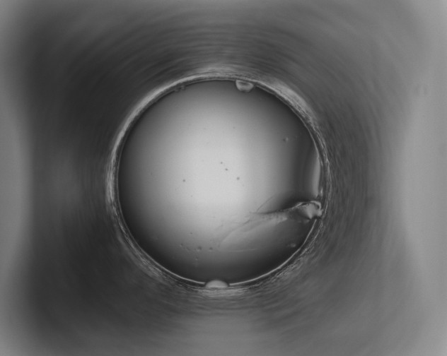 X0000102761296200808181101