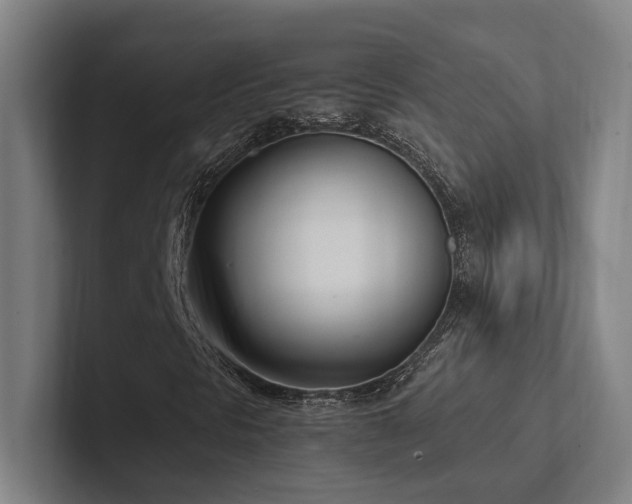 X0000102761297200808181101
