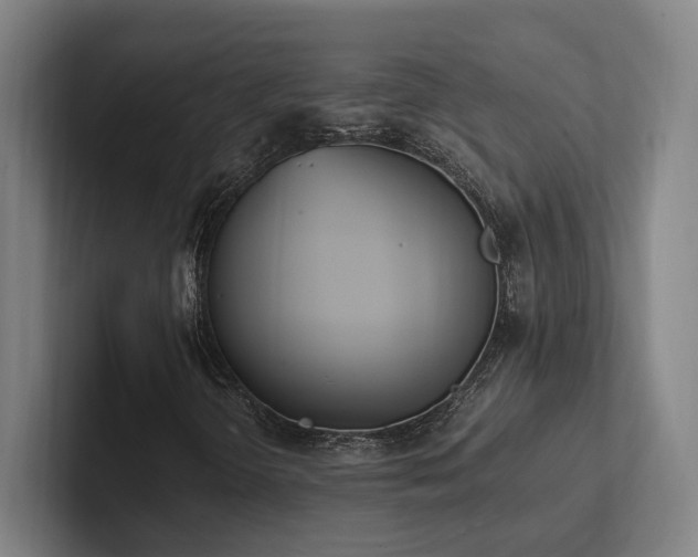 X0000102761298200808181101