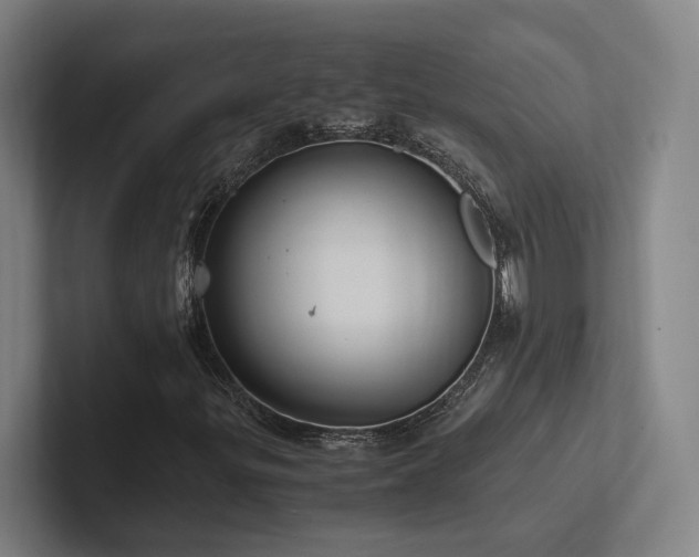X0000102761299200808181101