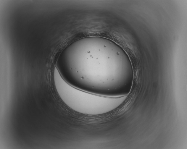 X0000102761300200808181101