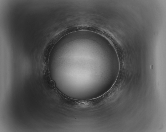 X0000102761303200808181101