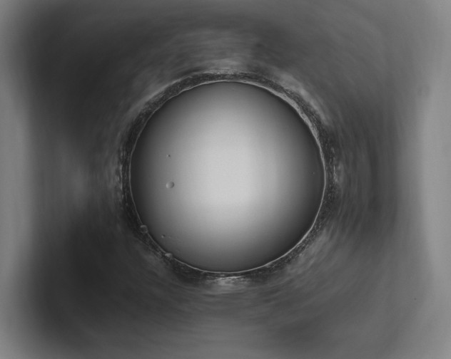 X0000102761304200808181101