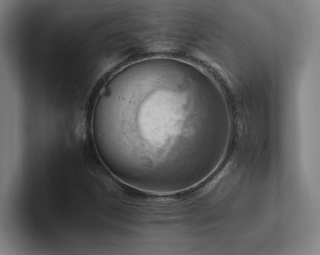 X0000102761306200808181101