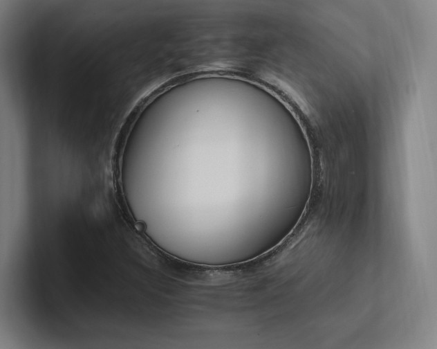 X0000102761308200808181101