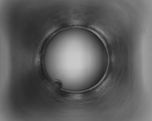 X0000102761309200808181101