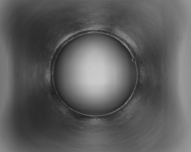 X0000102761316200808181101