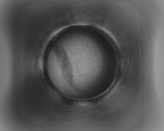 X0000102761319200808181101