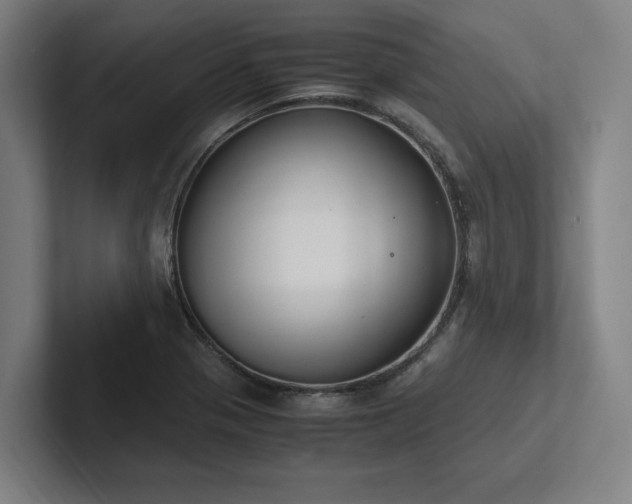 X0000102761321200808181101