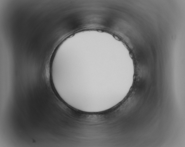 X0000102761322200808181101
