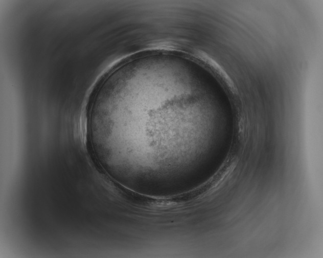 X0000102761323200808181101