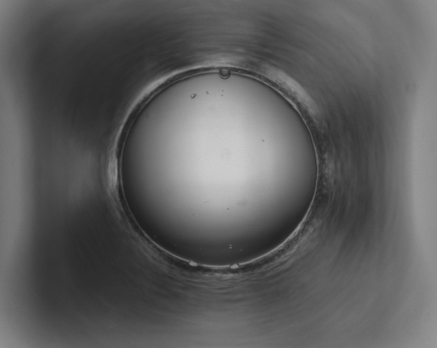 X0000102761324200808181101