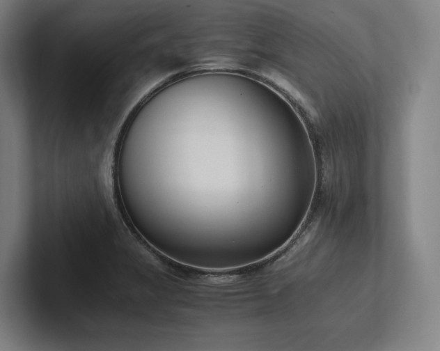 X0000102761325200808181101