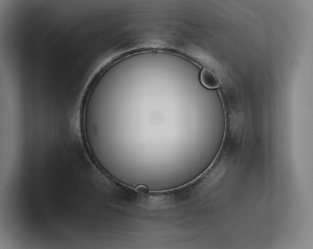 X0000102761326200808181101
