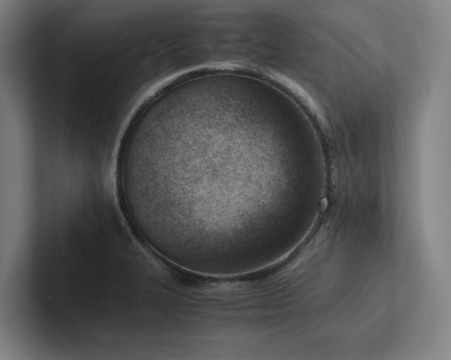X0000102761327200808181101