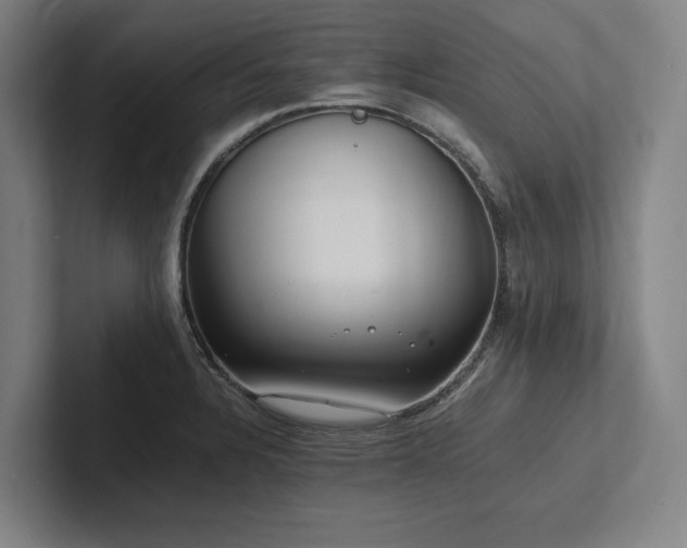 X0000102761328200808181101