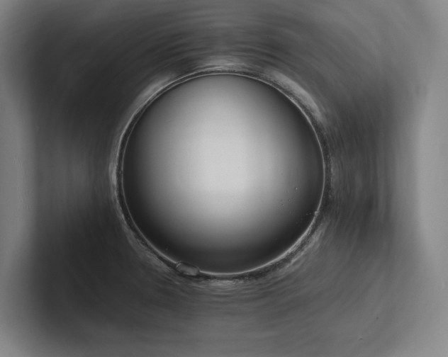 X0000102761330200808181101