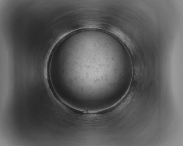 X0000102761331200808181101
