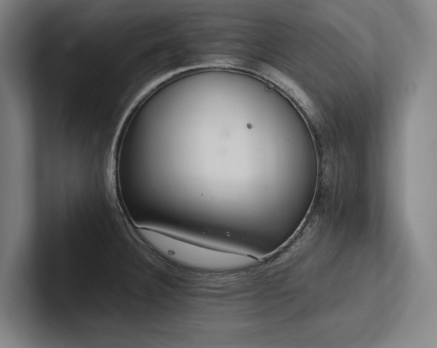 X0000102761332200808181101