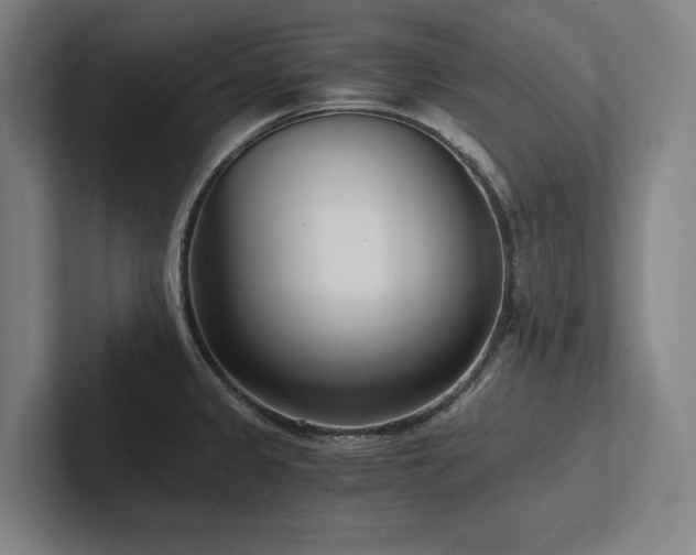 X0000102761333200808181101