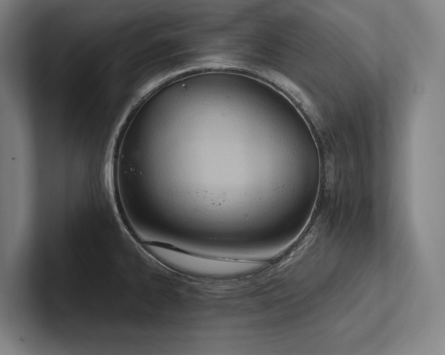 X0000102761334200808181101