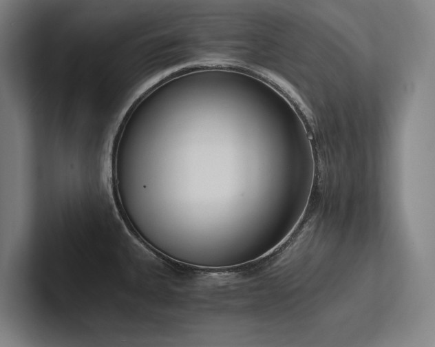 X0000102761335200808181101