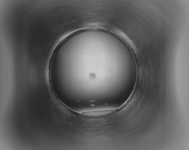 X0000102761336200808181101