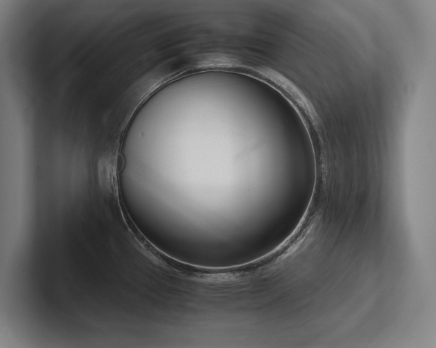 X0000102761337200808181101
