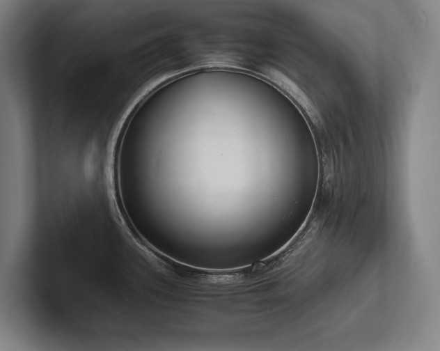 X0000102761339200808181101