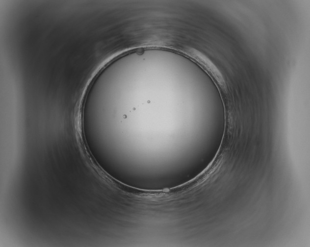 X0000102761340200808181101