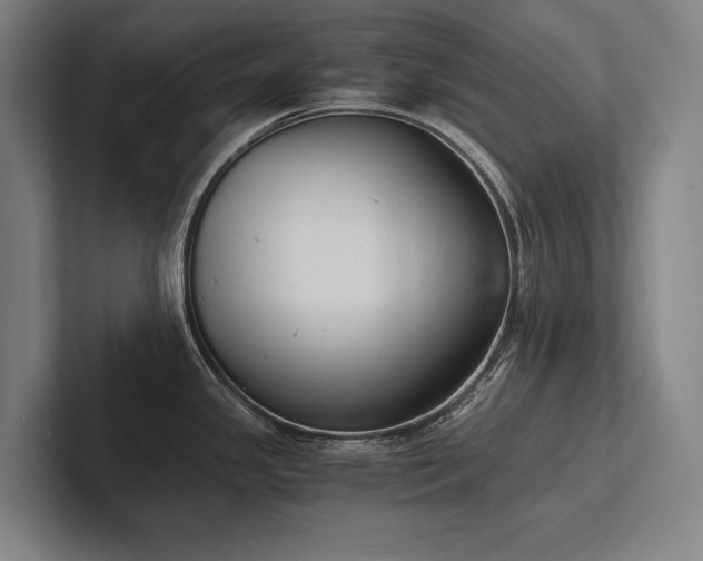 X0000102761341200808181101