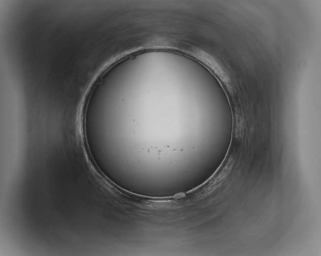 X0000102761342200808181101