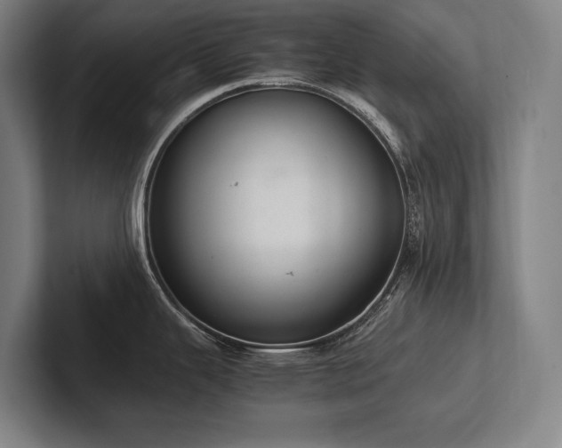 X0000102761343200808181101