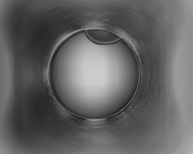 X0000102761344200808181101