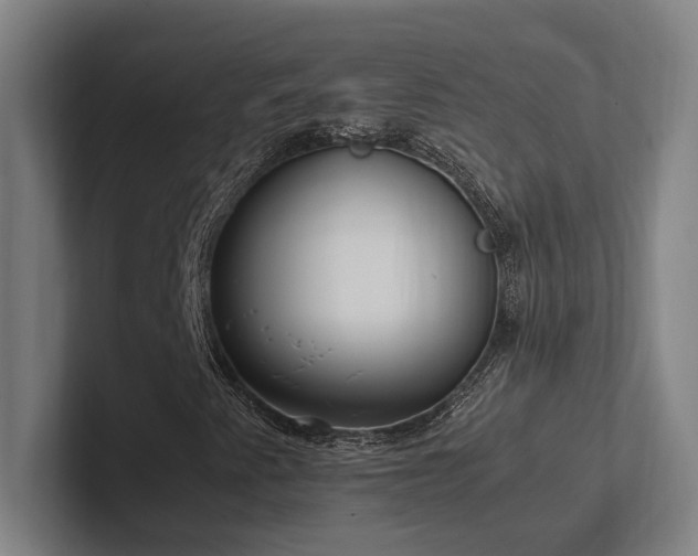 X0000102761345200808181101