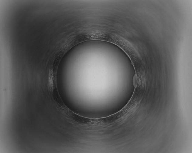 X0000102761346200808181101