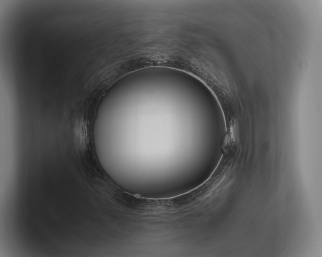 X0000102761347200808181101