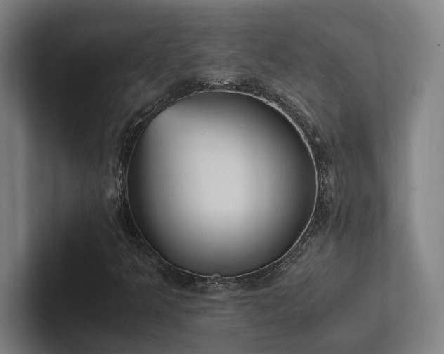 X0000102761349200808181100