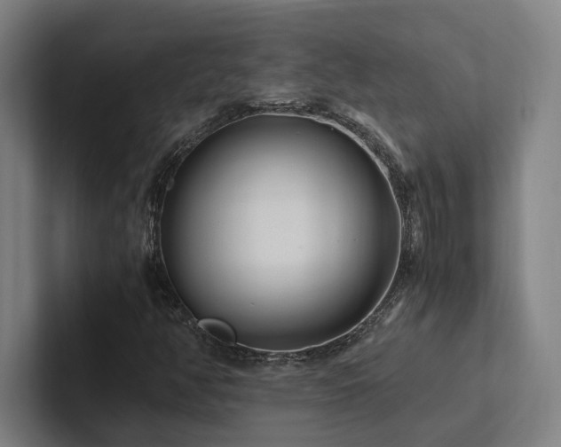 X0000102761350200808181100