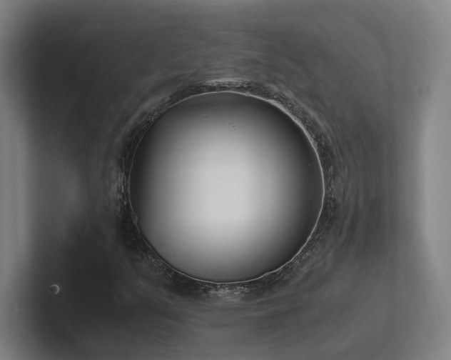 X0000102761351200808181100