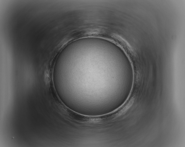 X0000102761353200808181100