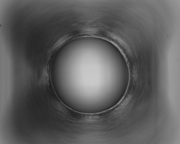 X0000102761354200808181100