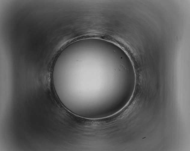 X0000102761355200808181100