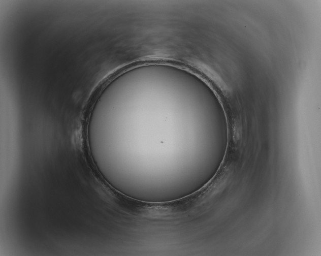 X0000102761356200808181100