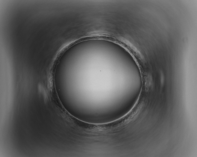 X0000102761358200808181100