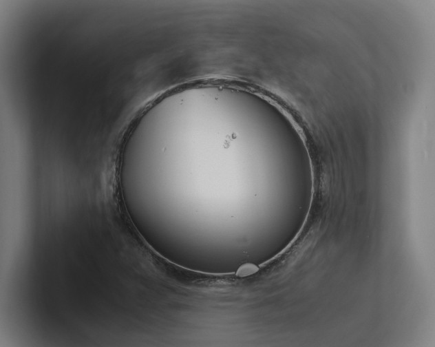 X0000102761359200808181100